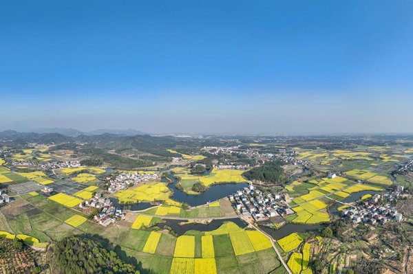 富配平台 “低空赏花”成文旅新宠