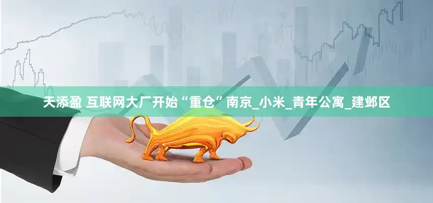 天添盈 互联网大厂开始“重仓”南京_小米_青年公寓_建邺区
