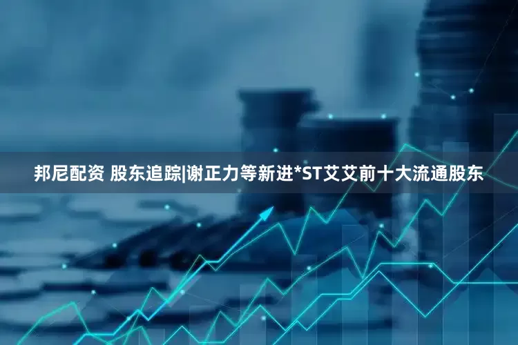 邦尼配资 股东追踪|谢正力等新进*ST艾艾前十大流通股东