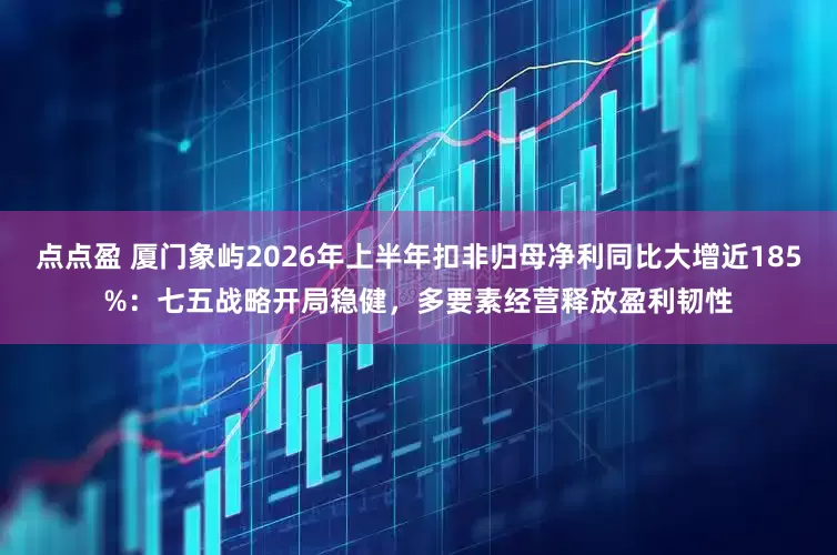 点点盈 厦门象屿2026年上半年扣非归母净利同比大增近185%：七五战略开局稳健，多要素经营释放盈利韧性